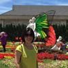 baovan_tn